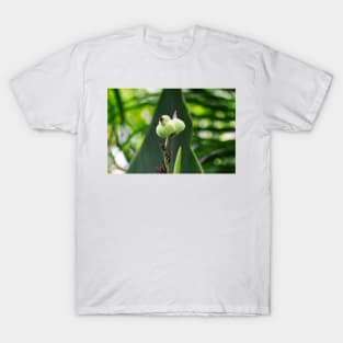 Flower Bud T-Shirt